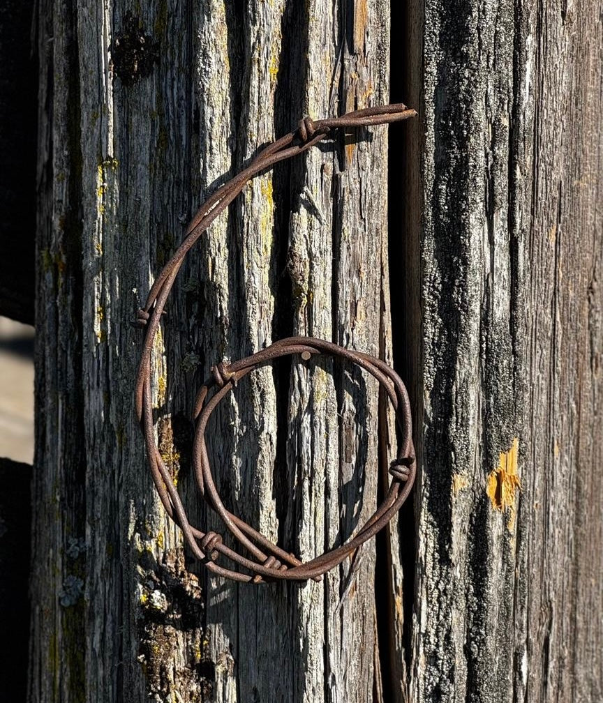 Barbed Wire House Numbers