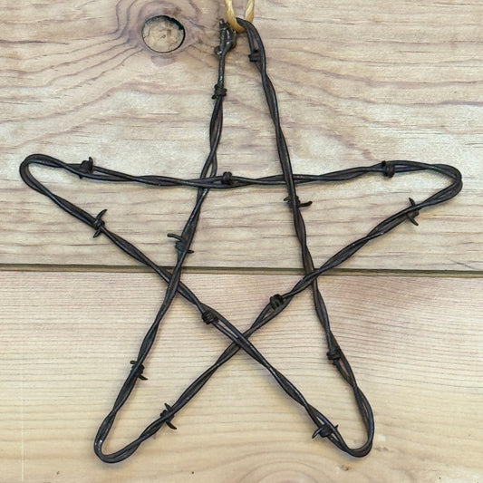 Rustic Barbed Wire Star