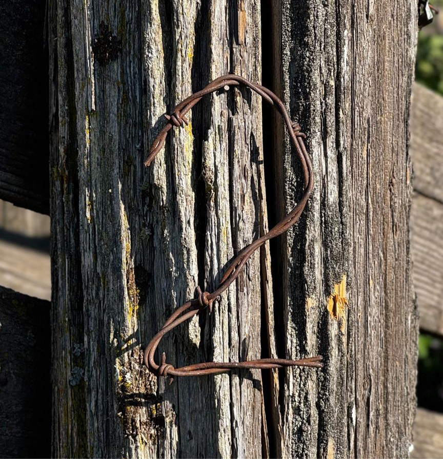 Barbed Wire House Numbers