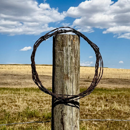 12” Rustic Barbed Wire Wreath