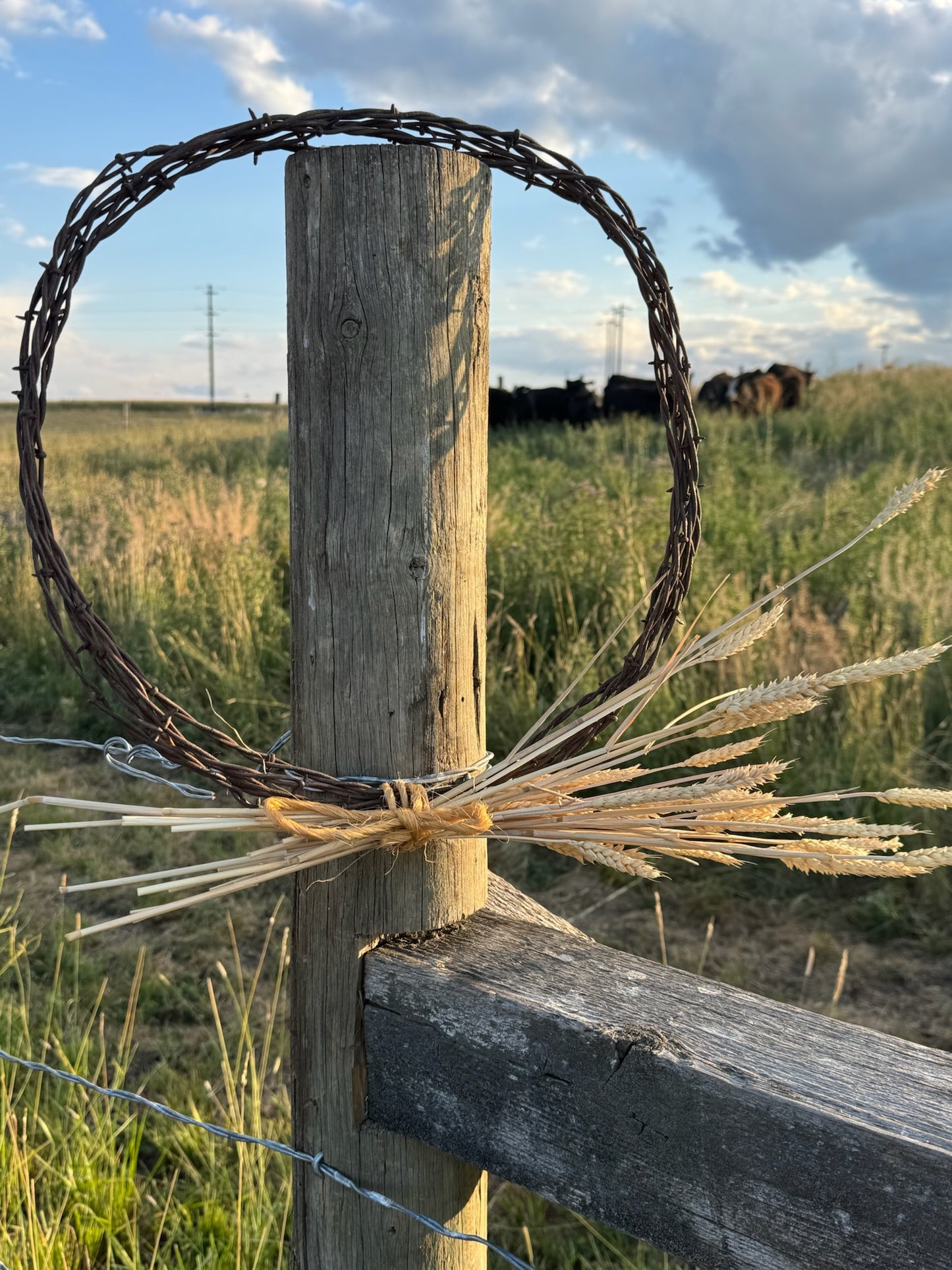 16" Rustic Barbed Wire Wreath